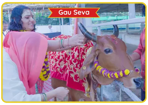 Serve the mother cows in our gaushala on this glorious day.